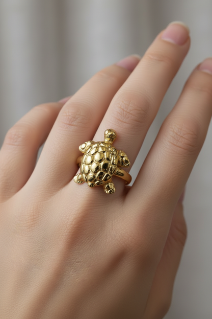 Tortoise