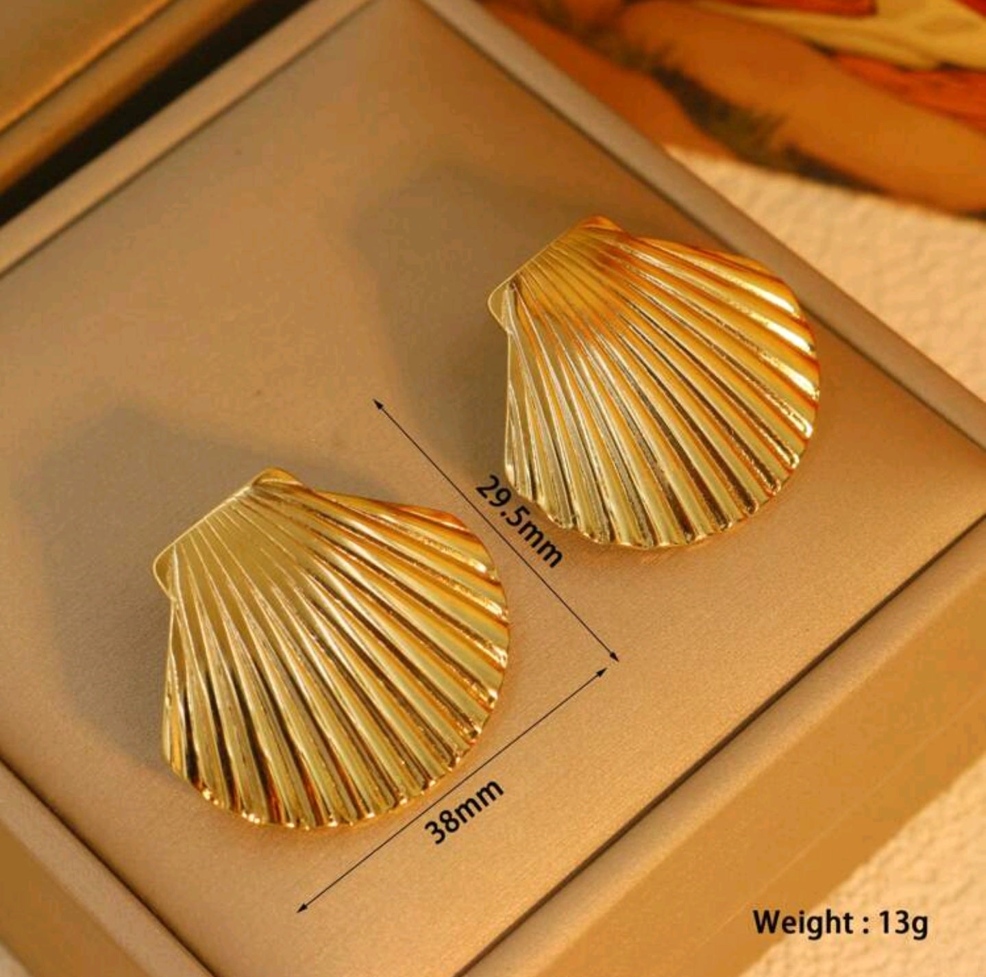 🐚Shell Earrings - Textured Shell Large Stud Earrings in 18K Gold Color Stainless Steel