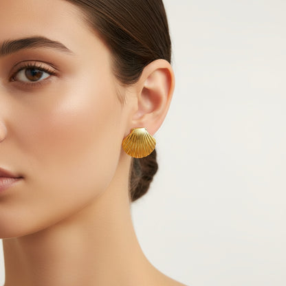 🐚Shell Earrings - Textured Shell Large Stud Earrings in 18K Gold Color Stainless Steel
